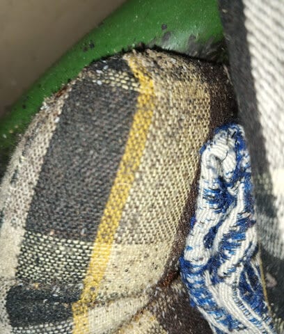 Master Pest Control Services
