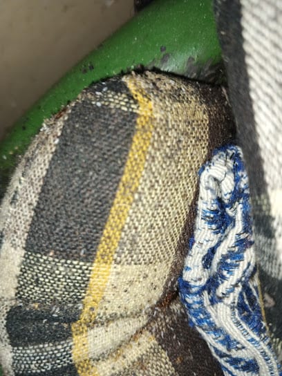 Master Pest Control Services